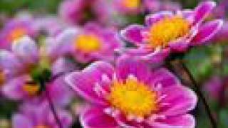 Download lagu Ahmed Bukhatir-Rabbunallah mp3 Download lagu Ahmed Bukhatir-Rabbunallah mp3