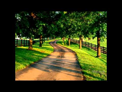 Milionario e Jose Rico - Caminheiro.mp4