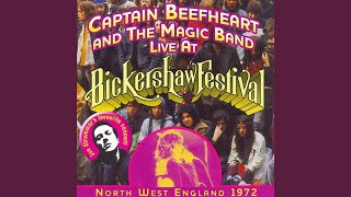 Alice in Blunderland