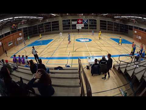 20180107 Futsal Team Fribourg Old Fox - Futsal Minerva 0 : 11