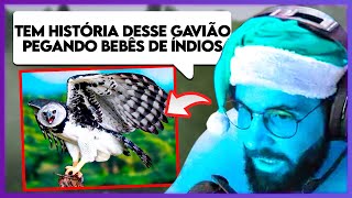 SMZINHO REAGE A HARPIA GAVIO REAL