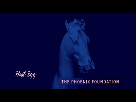 Nest Egg - The Phoenix Foundation