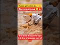 Flood Situation In Punjab Shorts Shortvideos Shortsfeed Punjabflood Youtubeshorts Trending Viral