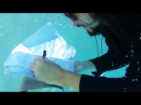 Generik & Aneken - Ambidextrous (Official Video)