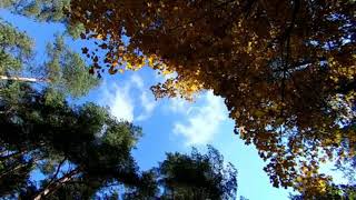 Pour On Us A Blessing ft Samuel J Jones