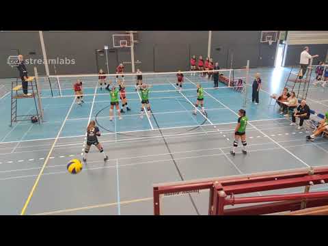 Sss d1 - de bevers d1