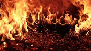 Wildfire Music Video