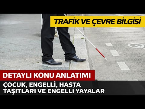 Trafik ve Çevre Bilgisi