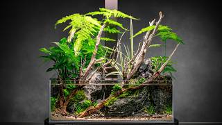 Mini Indoor Pond: Shallow Aquascape Tutorial (Part 2)