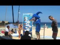Jeff Hansen at National No Shark Cull Rally - Perth ...
