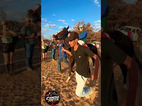 PURO SANGE 40° GP SÍTIO D’ABADIA #corridadecavalos #cavalo #abqm #jockey #viral #viraliza #prado #vr
