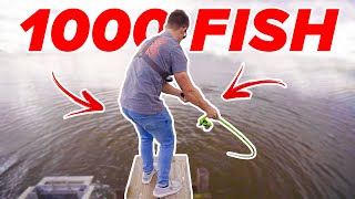 Fisherman's Paradise - INSANE Day of Fishing (MUST WATCH)