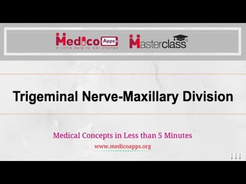 Live Class Trigeminal nerve-Maxillary Division by Dr. Suguna