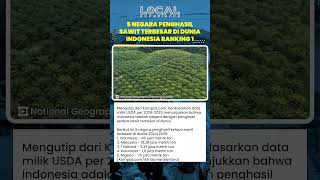 Jadi Penghasil Sawit Terbesar di Dunia! Indonesia Produksi Kelapa Sawit Mencapai 46 Juta Metrik Ton