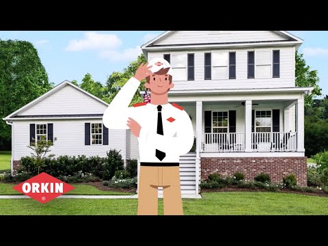 Termite Control: How Orkin Can Help Protect Your Home