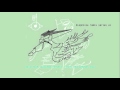 björk: sacrifice (matthew herbert's pins and needles' mix)