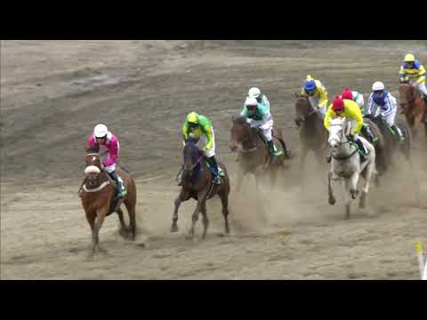 9. dostih - VCMP - I. kvalifikace na 129. Vps - dostihy Pardubice 25. 5. 2019