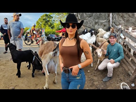 DOMINGÃO DE FEIRA EM CUMARU! Veja Como Foi o Movimento no Sítio Camarada