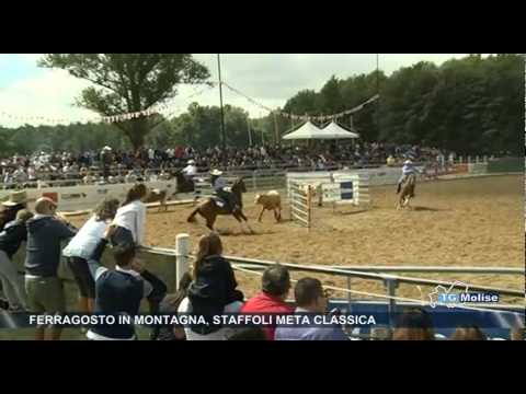 Ferragosto in montagna, Staffoli meta classica