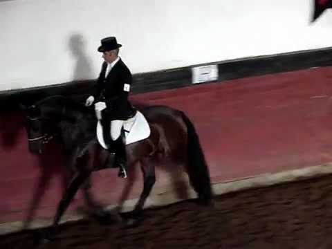 Hengskörung 2011 Coimbra, Buquino