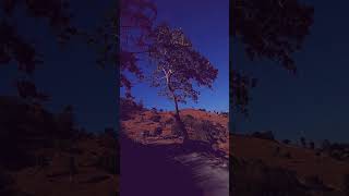 Download lagu Slank aku ingin damai mp3 Download lagu Slank aku ingin damai mp3