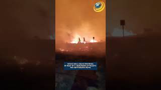 Կրակը կուլ է տալիս Թուրքիան. մի քանի օր է չեն կարողանում մարել անտառային հրդեհները