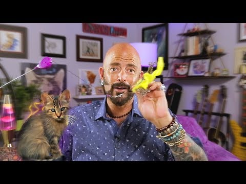 Fix Playtime With Your Cat!