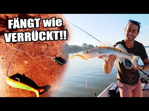 This rig CATCHES like crazy! Drop shot with side arm - tying and bait presentation