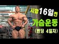 IFBBPRO-김현진선수 시합16일전 가슴운동(밴딩4일차)