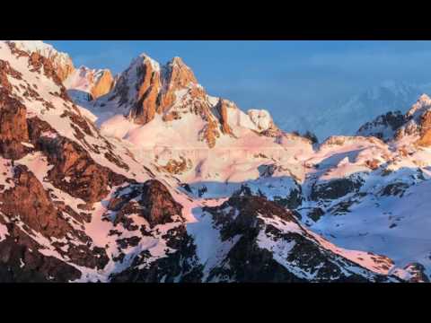 Reverence (Tim Wheater)