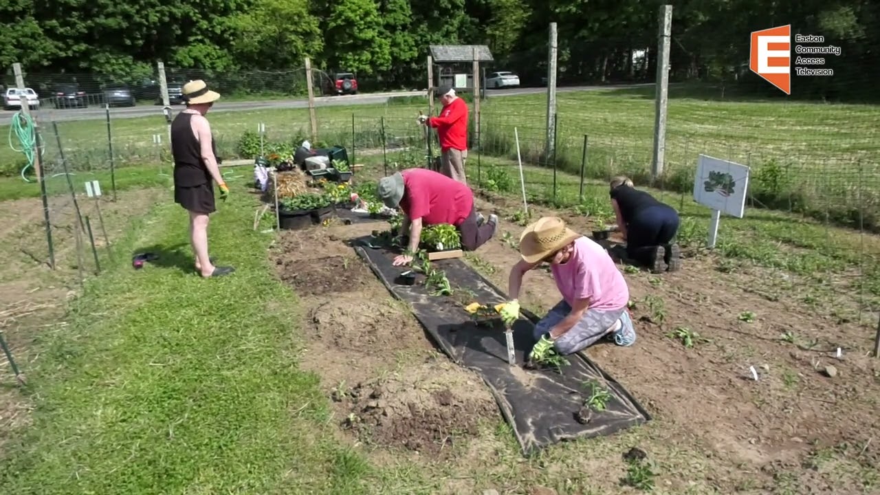 Easton Grange 196: Community Garden at Wheaton Farm