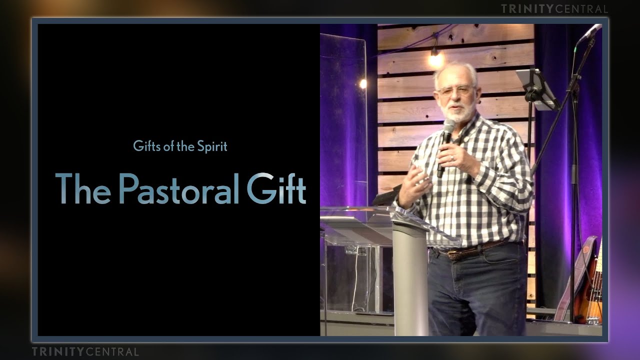 The Pastoral Gift - Steve Witmer