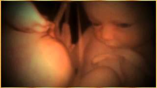 In The Womb-The Most beautiful lullaby