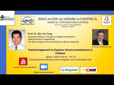 Practical Approach to Daytime Urinary Incontinence  in Children