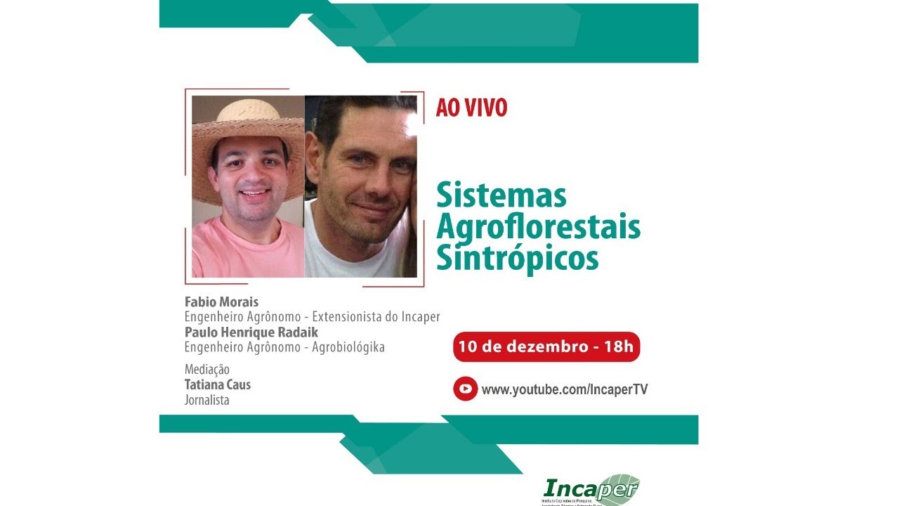 Sistemas Agroflorestais Sintrópicos