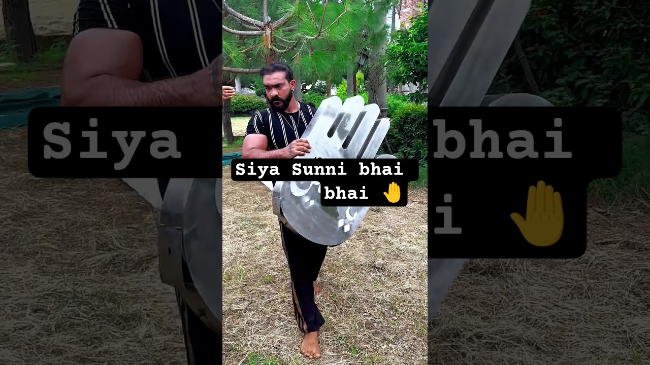 Siya Sunni bhai bhai 🤚🫶