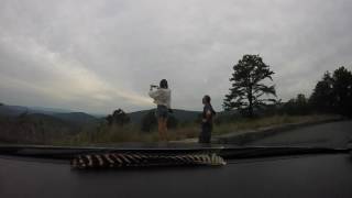 Skyline Drive, Shenandoah National Park, VA (Part 1) 6.22.17
