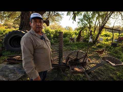 VIVE en MEDIO del MONTE y trabaja con HERRAMIENTAS de hace 100 AÑOS