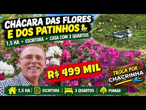 Vídeo