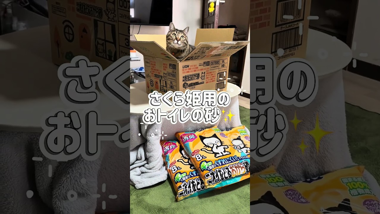 視聴者様からプレゼントをいただきました✨【感謝】