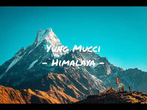 YUNG MUCCI - HIMALAYA (Visualizer) (Prod. Lil Fijiwater)