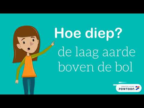 Groene vingers - planten