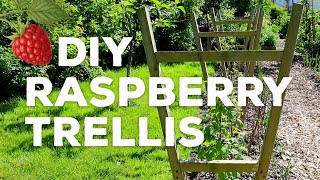 DIY Raspberry Trellis for Summer-Bearing Varieties