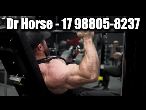 Tio Style - Dr. Horse (Prod Liip Beats)