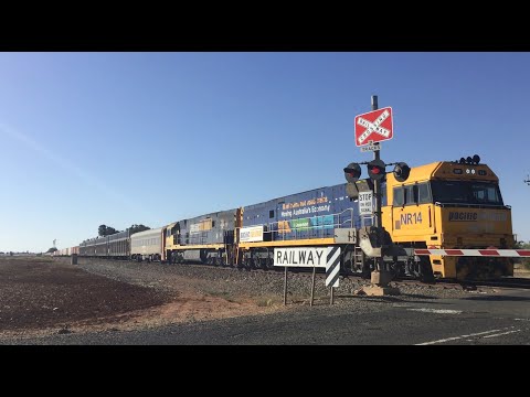 Pacific National 2PM5 NR14 NR16 pass King Road, Virginia