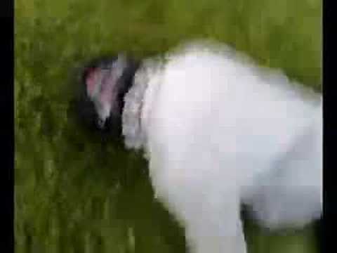 Demass a little less gravity