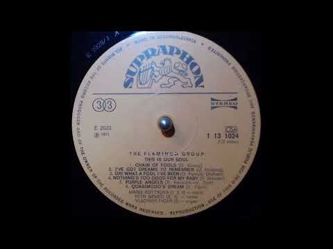 The Flamingo Group ft   Marie Rottrová & Petr Němec  - Chain Of Fools (Vinyl HQ)