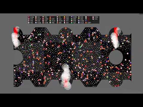 Survival Proliferation - 46 - Country Marble Race - Fast Marble Race