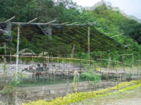 Kaysa sa paggamot sa isang halamang-singaw sa kuko pampalapot Paa halamang-singaw paggamot katutubong lunas