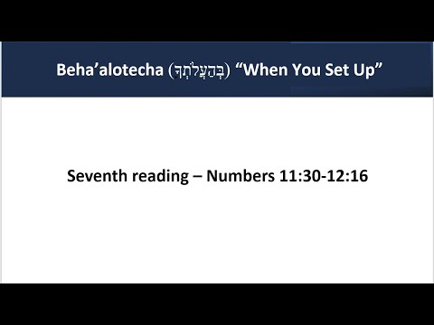 Beha'alotecha 7th Reading (Aliyah) Numbers 11:30-12:16